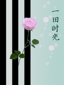 一朵玫瑰