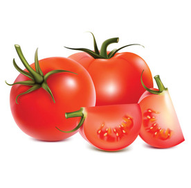 多款西红柿番茄手绘AI矢量素材