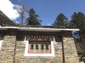图案