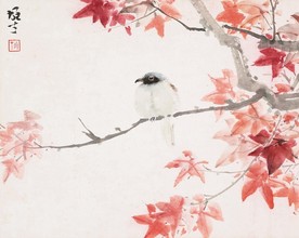 红叶小鸟