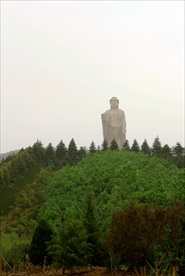 中原大佛