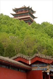 中原大佛