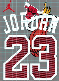 23号 热火 NBA 公牛