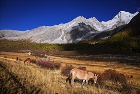 亚丁风景