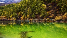 亚丁风景