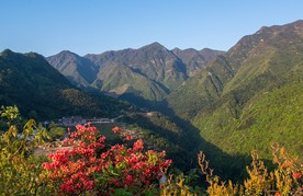景色