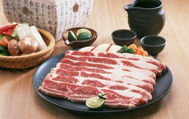肉片 肉块 猪肉 牛肉 生肉