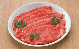肉片 肉块 猪肉 牛肉 生肉
