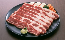 肉片 肉块 猪肉 牛肉 生肉