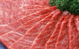 肉片 肉块 猪肉 牛肉 生肉