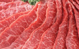 肉片 肉块 猪肉 牛肉 生肉