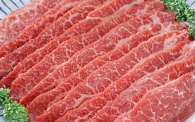 肉片 肉块 猪肉 牛肉 生肉