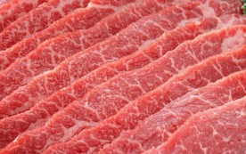 肉片 肉块 猪肉 牛肉 生肉