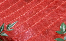 肉片 肉块 猪肉 牛肉 生肉