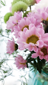 插花 花艺 玫瑰 花束 情人节
