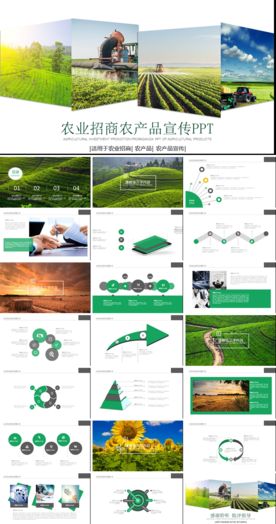 农业管理招商引资动态PPT