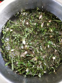 野菜