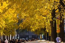 市场