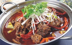 锅仔狗肉