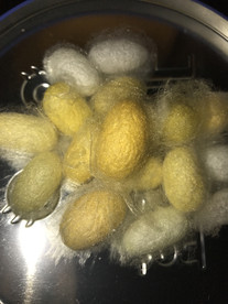 蚕茧