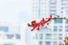 厦门