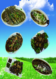 煎焖白鱼  葱油鱼 蟠龙鲶