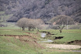关山牧场
