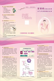 妇科宫颈癌折页