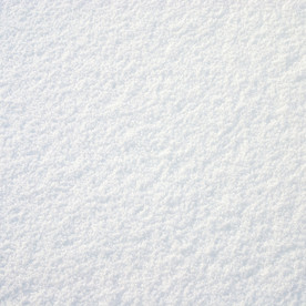 雪地