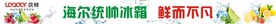 海尔统帅 冰箱