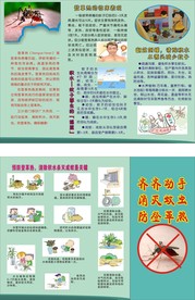 登革热三折页
