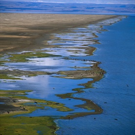 平原河流