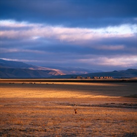 高原风景