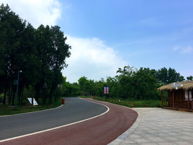 三台山  田间小路  蓝天白云