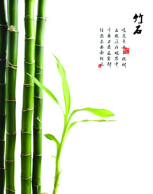 竹子 树叶 移门设计