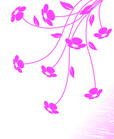 花边花纹 花朵 移门设计