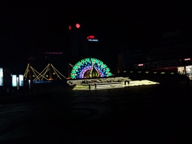 灯光孔雀