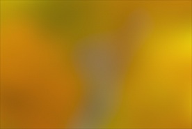高清毛玻璃朦胧光影背景底纹图片