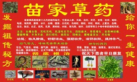 苗家草药