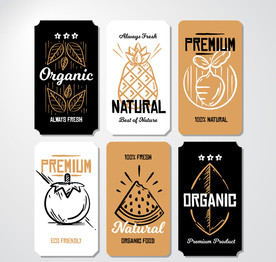 手绘有机食物卡片