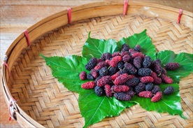桑葚 桑果 水果 树莓 覆盆子