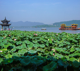 西湖风光
