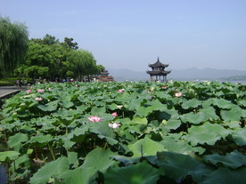 西湖风光