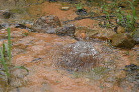 泉水