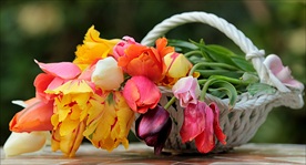 花篮特写