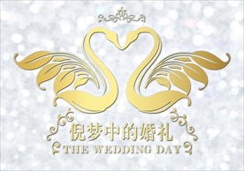 天鹅梦中的婚礼LOGO