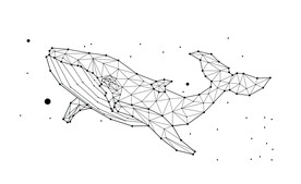 鲸鱼矢量图