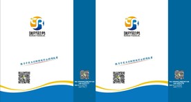 金融手提袋