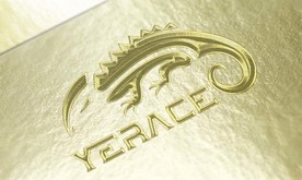 LOGO智能贴图 效果图提案