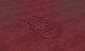 LOGO智能贴图 效果图提案